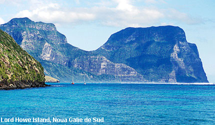Vacanta in Lord Howe Island, Noua Galie de Sud , vacante de vis, calatorie, insule si locuri de scufundat, top plaje de vis