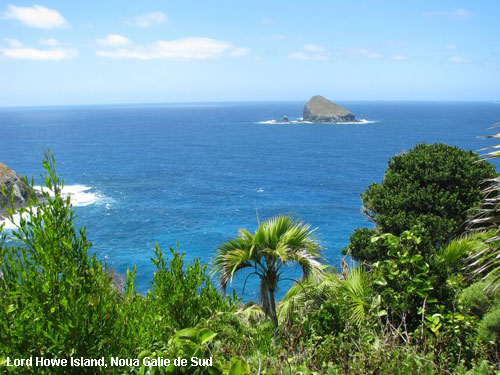 Vacanta in Lord Howe Island, Noua Galie de Sud , vacante de vis, calatorie, insule si locuri de scufundat, top plaje de vis