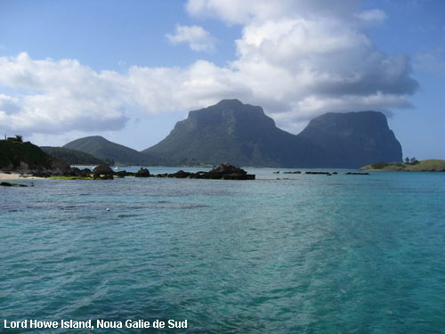 Vacanta in Lord Howe Island, Noua Galie de Sud , vacante de vis, calatorie, insule si locuri de scufundat, top plaje de vis