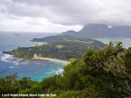 Vacanta in Lord Howe Island, Noua Galie de Sud , vacante de vis, calatorie, insule si locuri de scufundat, top plaje de vis