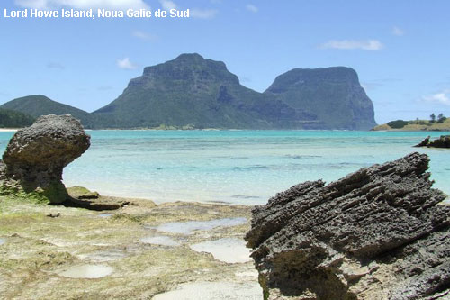 Vacanta in Lord Howe Island, Noua Galie de Sud , vacante de vis, calatorie, insule si locuri de scufundat, top plaje de vis