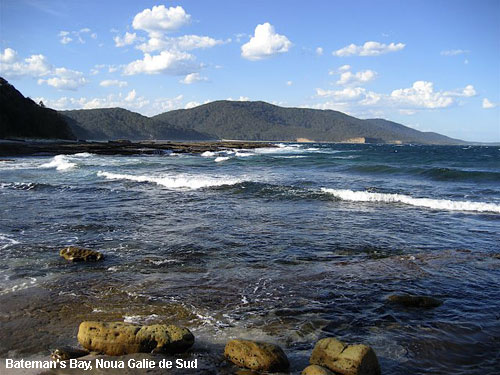 Vacanta in Bateman's Bay, Noua Galie de Sud, vacante de vis, calatorie, insule si locuri de scufundat, top plaje de vis