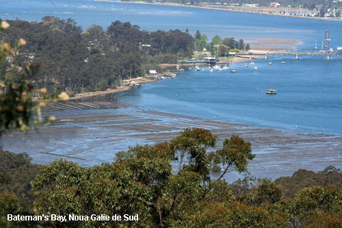 Vacanta in Bateman's Bay, Noua Galie de Sud, vacante de vis, calatorie, insule si locuri de scufundat, top plaje de vis