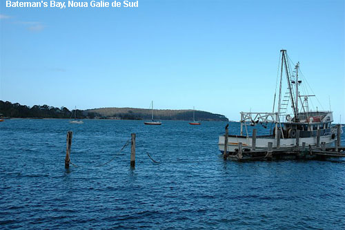 Vacanta in Bateman's Bay, Noua Galie de Sud, vacante de vis, calatorie, insule si locuri de scufundat, top plaje de vis