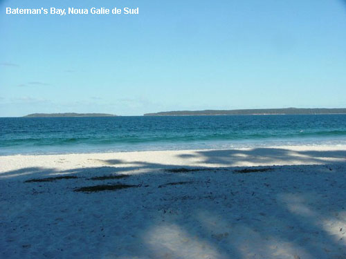 Vacanta in Bateman's Bay, Noua Galie de Sud, vacante de vis, calatorie, insule si locuri de scufundat, top plaje de vis