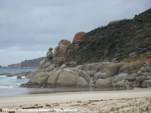 Vacanta in Wilson's Promontory National Park, Victoria, vacante de vis, calatorie, insule si locuri de scufundat, top plaje de vis