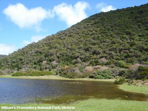 Vacanta in Wilson's Promontory National Park, Victoria, vacante de vis, calatorie, insule si locuri de scufundat, top plaje de vis