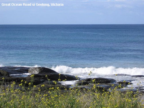 Vacanta in Great Ocean Road si Geelong, Victoria, vacante de vis, calatorie, insule si locuri de scufundat, top plaje de vis