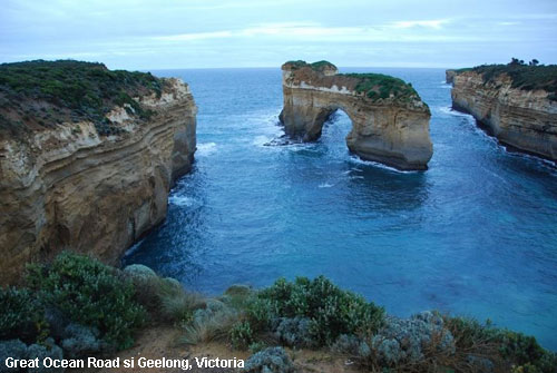 Vacanta in Great Ocean Road si Geelong, Victoria, vacante de vis, calatorie, insule si locuri de scufundat, top plaje de vis
