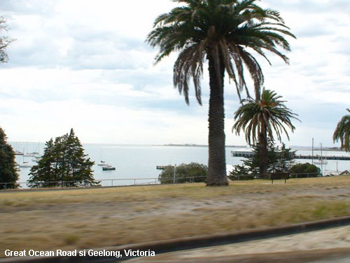 Vacanta in Great Ocean Road si Geelong, Victoria, vacante de vis, calatorie, insule si locuri de scufundat, top plaje de vis