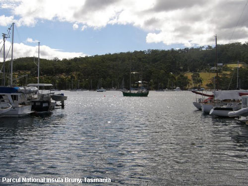 Vacanta in Parcul National insula Bruny, Tasmania, vacante de vis, calatorie, insule si locuri de scufundat, top plaje de vis