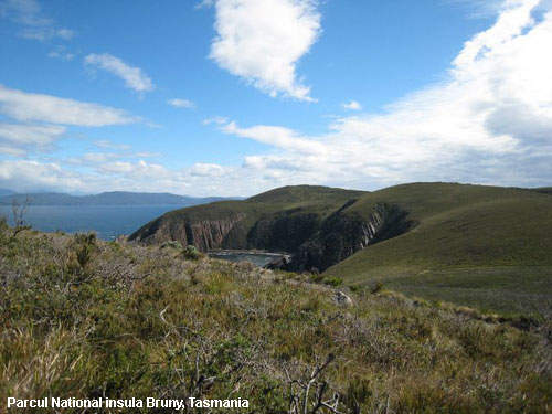 Vacanta in Parcul National insula Bruny, Tasmania, vacante de vis, calatorie, insule si locuri de scufundat, top plaje de vis