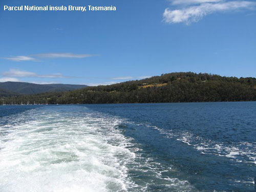 Vacanta in Parcul National insula Bruny, Tasmania, vacante de vis, calatorie, insule si locuri de scufundat, top plaje de vis