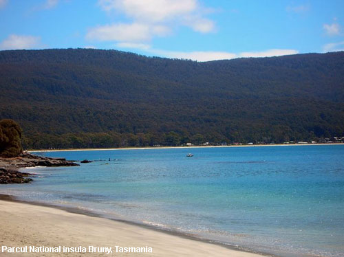 Vacanta in Parcul National insula Bruny, Tasmania, vacante de vis, calatorie, insule si locuri de scufundat, top plaje de vis