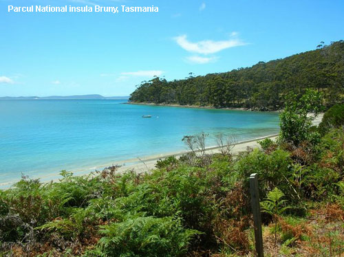Vacanta in Parcul National insula Bruny, Tasmania, vacante de vis, calatorie, insule si locuri de scufundat, top plaje de vis