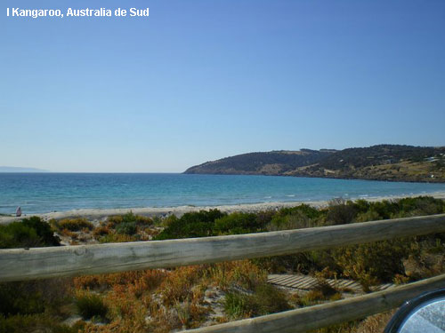 Vacanta in I Kangaroo, Australia de Sud, vacante de vis, calatorie, insule si locuri de scufundat, top plaje de vis