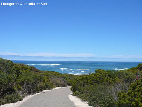 Vacanta in I Kangaroo, Australia de Sud, vacante de vis, calatorie, insule si locuri de scufundat, top plaje de vis