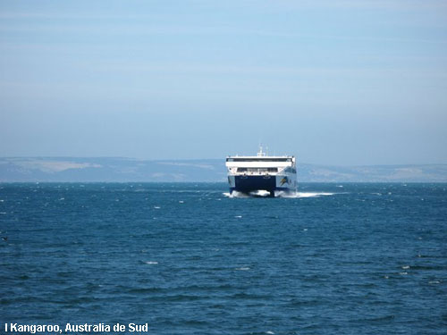 Vacanta in I Kangaroo, Australia de Sud, vacante de vis, calatorie, insule si locuri de scufundat, top plaje de vis