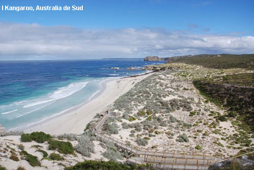 Vacanta in I Kangaroo, Australia de Sud, vacante de vis, calatorie, insule si locuri de scufundat, top plaje de vis