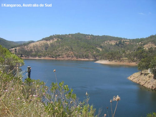 Vacanta in I Kangaroo, Australia de Sud, vacante de vis, calatorie, insule si locuri de scufundat, top plaje de vis
