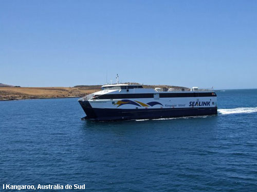 Vacanta in I Kangaroo, Australia de Sud, vacante de vis, calatorie, insule si locuri de scufundat, top plaje de vis