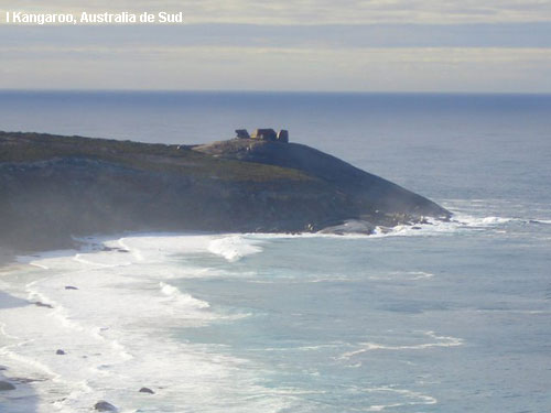 Vacanta in I Kangaroo, Australia de Sud, vacante de vis, calatorie, insule si locuri de scufundat, top plaje de vis
