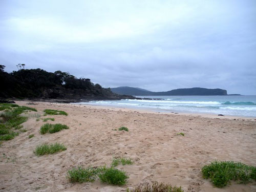 Vacanta in I Kangaroo, Australia de Sud, vacante de vis, calatorie, insule si locuri de scufundat, top plaje de vis