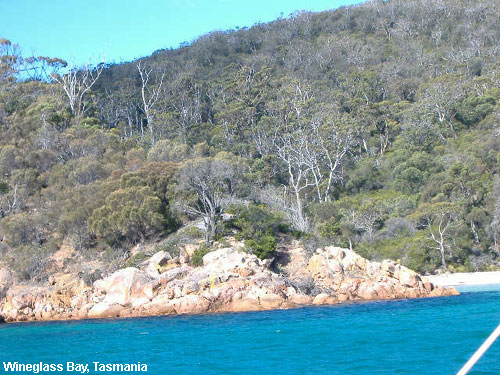Vacanta in Wineglass Bay, Tasmania, vacante de vis, calatorie, insule si locuri de scufundat, top plaje de vis