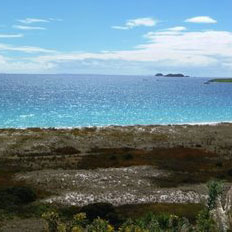 Vacanta in Karikari Beach, Northland, vacante de vis, calatorie, insule si locuri de scufundat, top plaje de vis
