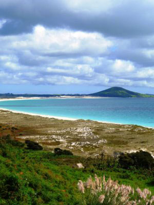 Vacanta in Karikari Beach, Northland, vacante de vis, calatorie, insule si locuri de scufundat, top plaje de vis