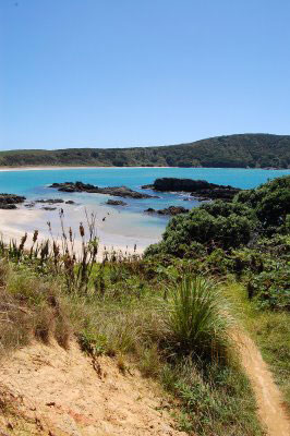 Vacanta in Karikari Beach, Northland, vacante de vis, calatorie, insule si locuri de scufundat, top plaje de vis