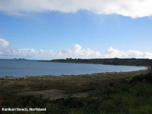Vacanta in Karikari Beach, Northland, vacante de vis, calatorie, insule si locuri de scufundat, top plaje de vis