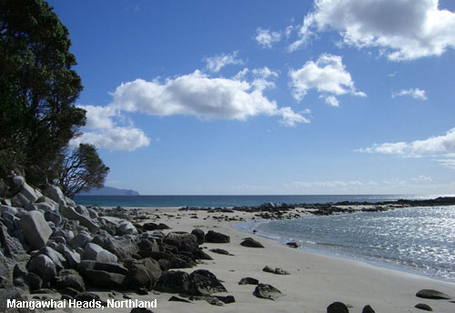 Vacanta in Mangawhai Heads, Northland, vacante de vis, calatorie, insule si locuri de scufundat, top plaje de vis