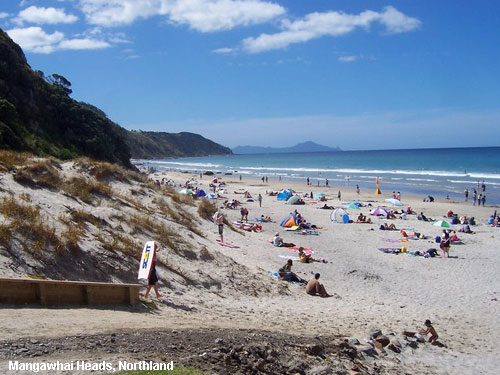 Vacanta in Mangawhai Heads, Northland, vacante de vis, calatorie, insule si locuri de scufundat, top plaje de vis