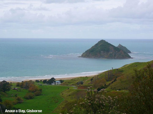Vacanta in Anaura Bay, Gisborne, vacante de vis, calatorie, insule si locuri de scufundat, top plaje de vis