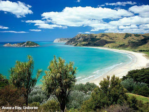 Vacanta in Anaura Bay, Gisborne, vacante de vis, calatorie, insule si locuri de scufundat, top plaje de vis