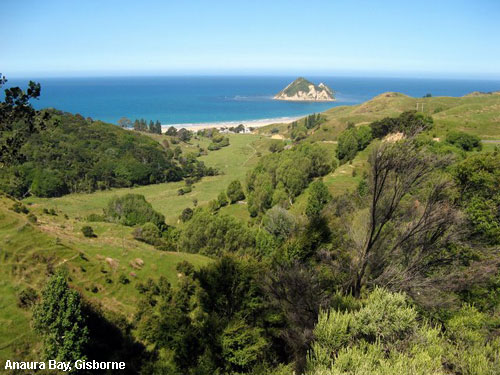 Vacanta in Anaura Bay, Gisborne, vacante de vis, calatorie, insule si locuri de scufundat, top plaje de vis