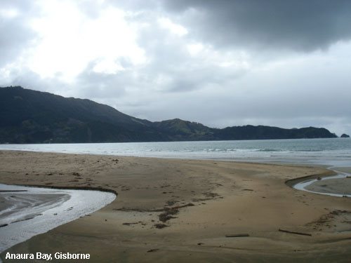 Vacanta in Anaura Bay, Gisborne, vacante de vis, calatorie, insule si locuri de scufundat, top plaje de vis