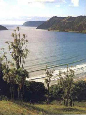 Vacanta in Anaura Bay, Gisborne, vacante de vis, calatorie, insule si locuri de scufundat, top plaje de vis