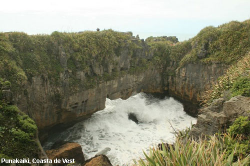 Vacanta in Punakaiki, Coasta de Vest, vacante de vis, calatorie, insule si locuri de scufundat, top plaje de vis