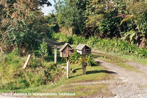 Vacanta in Parcul National Te Wahipounamu, Southland, vacante de vis, calatorie, insule si locuri de scufundat, top plaje de vis