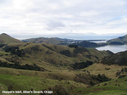 Vacanta in Hoopers Inlet, Allan's Beach, Otago, vacante de vis, calatorie, insule si locuri de scufundat, top plaje de vis