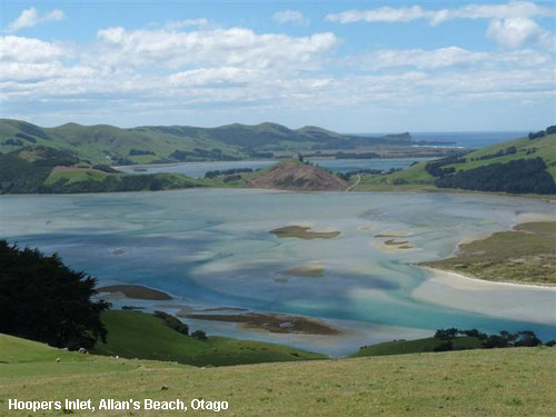 Vacanta in Hoopers Inlet, Allan's Beach, Otago, vacante de vis, calatorie, insule si locuri de scufundat, top plaje de vis