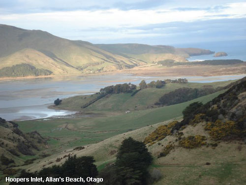 Vacanta in Hoopers Inlet, Allan's Beach, Otago, vacante de vis, calatorie, insule si locuri de scufundat, top plaje de vis