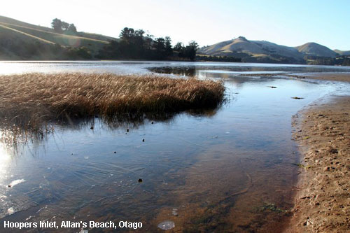 Vacanta in Hoopers Inlet, Allan's Beach, Otago, vacante de vis, calatorie, insule si locuri de scufundat, top plaje de vis