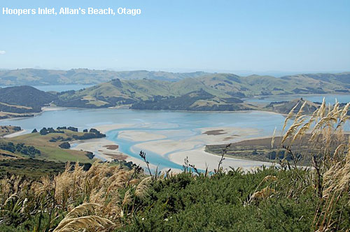 Vacanta in Hoopers Inlet, Allan's Beach, Otago, vacante de vis, calatorie, insule si locuri de scufundat, top plaje de vis
