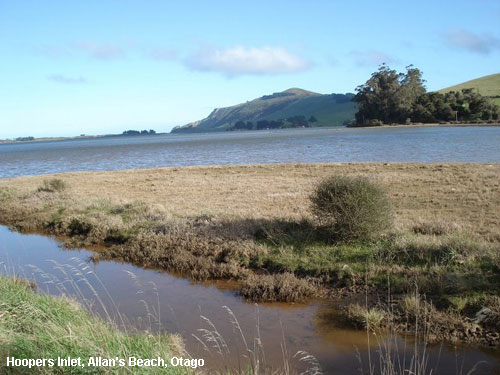 Vacanta in Hoopers Inlet, Allan's Beach, Otago, vacante de vis, calatorie, insule si locuri de scufundat, top plaje de vis