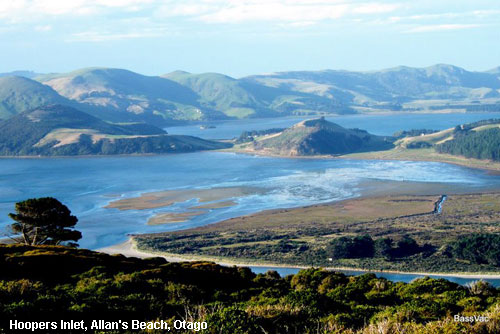 Vacanta in Hoopers Inlet, Allan's Beach, Otago, vacante de vis, calatorie, insule si locuri de scufundat, top plaje de vis