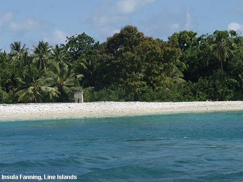 Vacanta in Insula Fanning, Line Islands, vacante de vis, calatorie, insule si locuri de scufundat, top plaje de vis