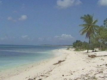 Vacanta in Kiritimati, Line Islands, vacante de vis, calatorie, insule si locuri de scufundat, top plaje de vis